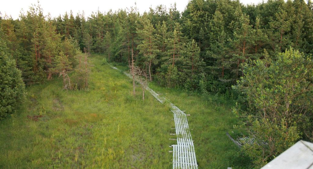 Kotkapoja Residence Kuressaare Pokój zdjęcie