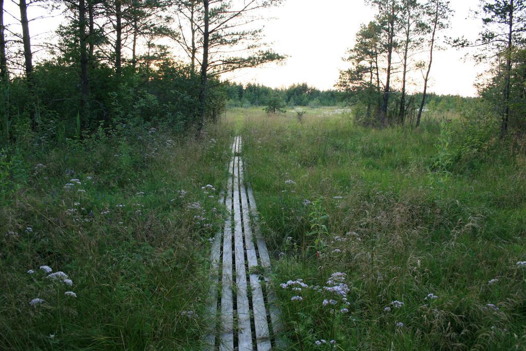 Kotkapoja Residence Kuressaare Pokój zdjęcie